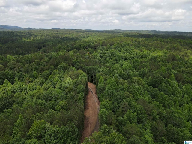 720 Good Hope Delta Rd, Delta, AL 36258 - drone / aerial view of a heavily wooded area