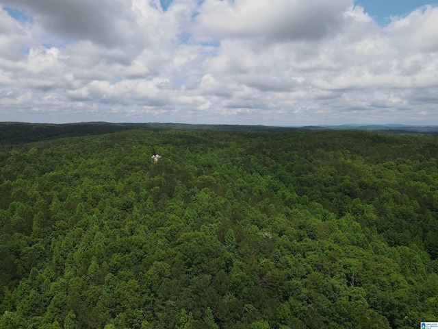 720 Good Hope Delta Rd, Delta, AL 36258 - drone / aerial view of a heavily wooded area