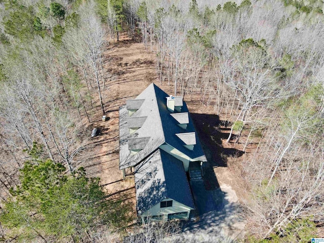 720 Good Hope Delta Rd, Delta, AL 36258 - aerial view of property and surrounding area