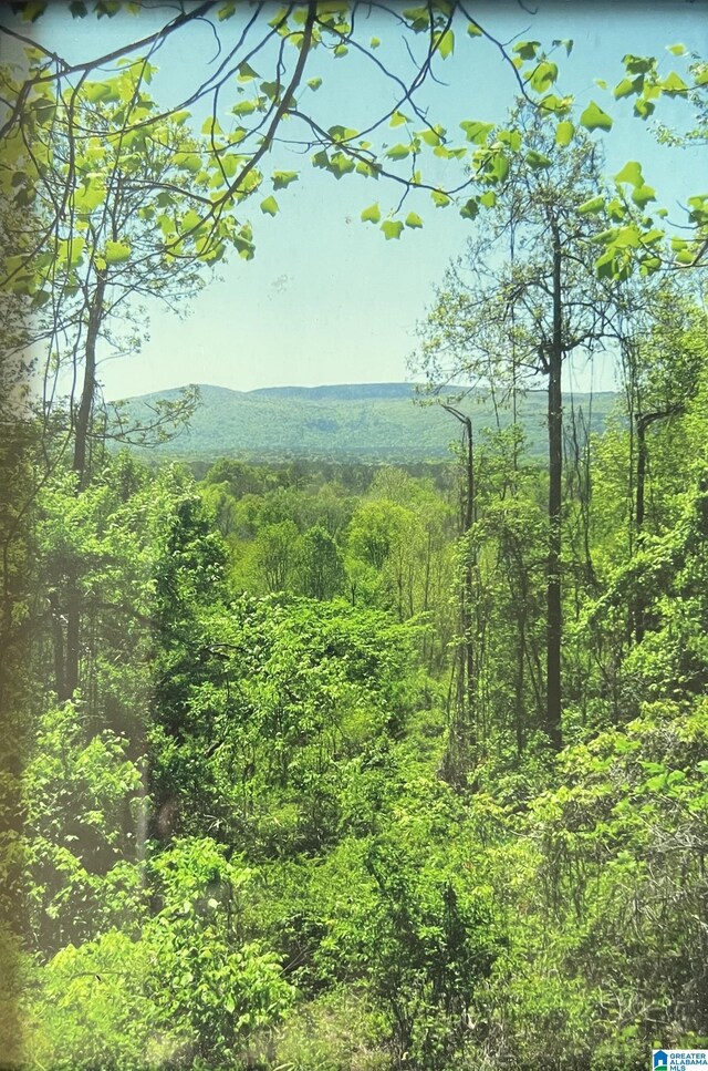 720 Good Hope Delta Rd, Delta, AL 36258 - view of mountain background with a heavily wooded area