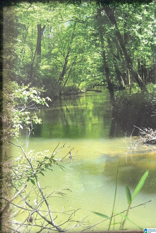 720 Good Hope Delta Rd, Delta, AL 36258 - water view