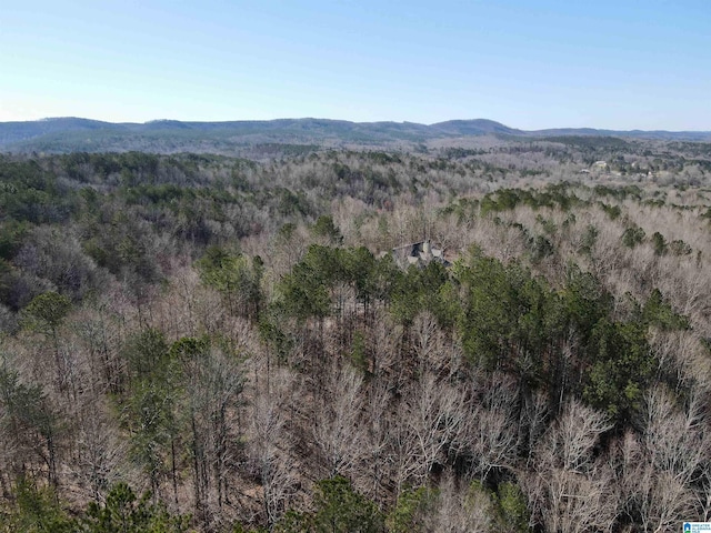 720 Good Hope Delta Rd, Delta, AL 36258 - view of mountain backdrop with a forest