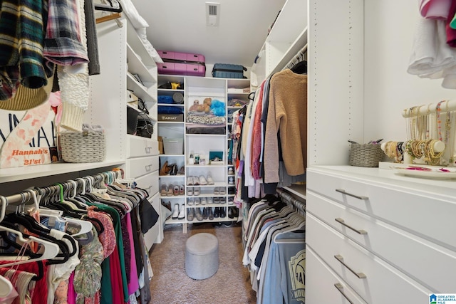 1710 Cullom St S, Birmingham, AL 35205 - spacious closet with carpet floors