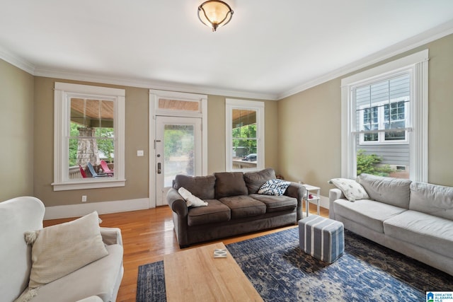 1710 Cullom St S, Birmingham, AL 35205 - living room with ornamental molding, light wood finished floors, and baseboards