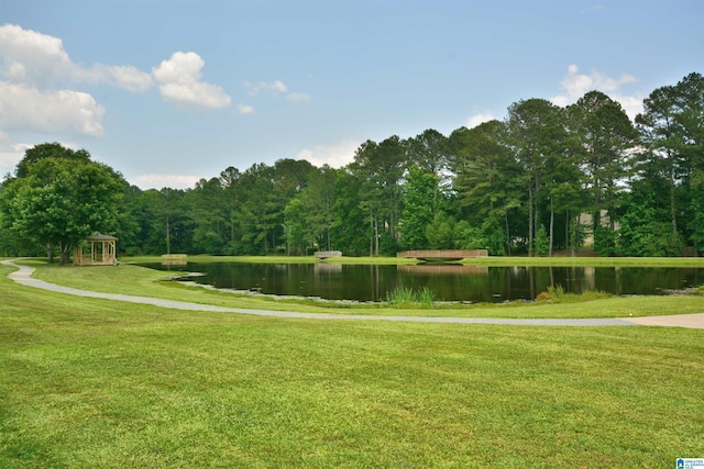 100 Weeping Cir, Wilsonville, AL 35186 - view of home's community featuring a water view and a lawn