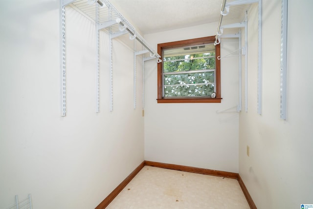 220 Honeysuckle Ln, Gardendale, AL 35071 - view of walk in closet
