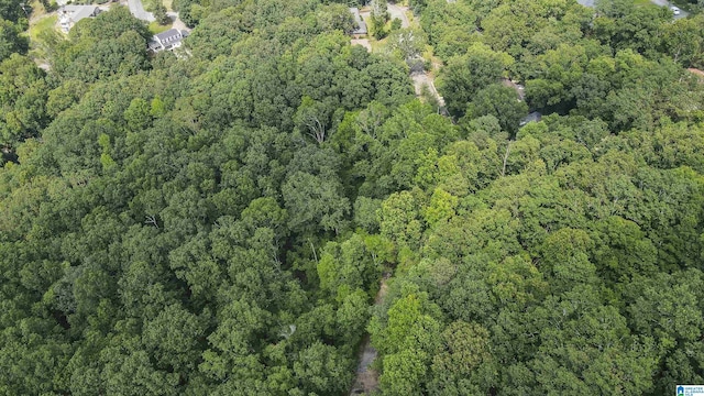 0 Lanier Pl Unit 26.25Ac, Anniston, AL 36207