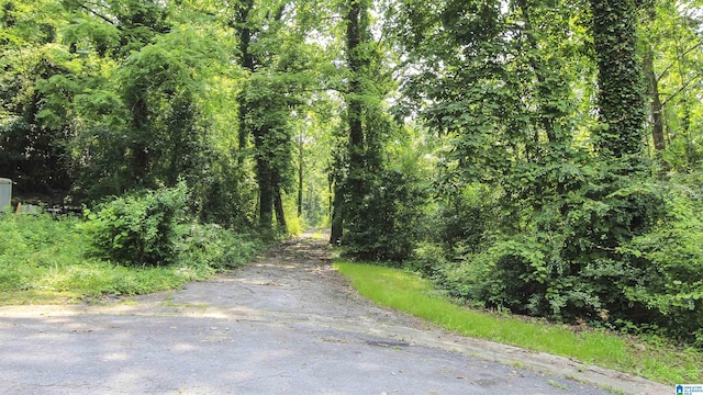 0 Lanier Pl Unit 26.25Ac, Anniston, AL 36207