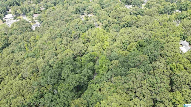 0 Lanier Pl Unit 26.25Ac, Anniston, AL 36207