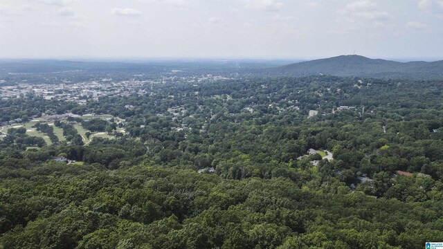 0 Lanier Pl Unit 26.25Ac, Anniston, AL 36207