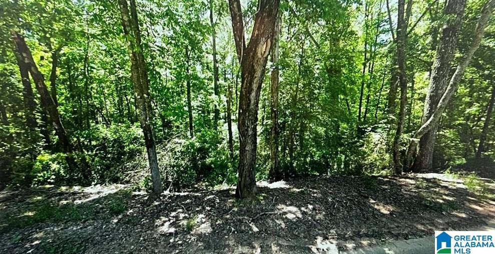 0 Kimberly Dr Unit 0, Lakeview, AL 35111