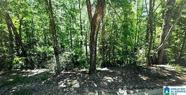 0 Kimberly Dr Unit 0, Lakeview, AL 35111