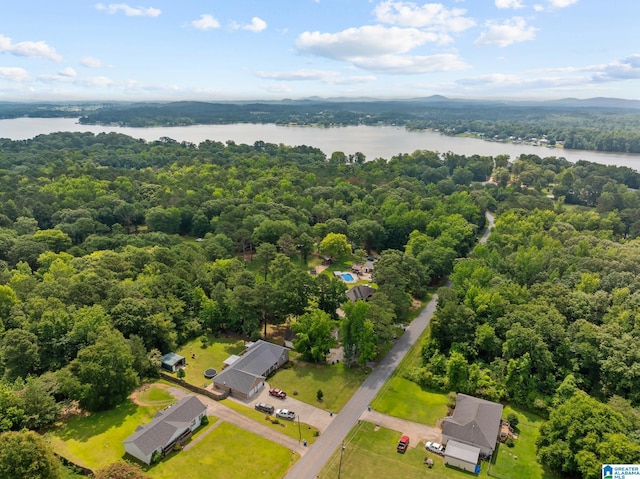 6415 Mays Bend Rd, Pell City, AL 35128 - bird's eye view of a nearby body of water and a forest