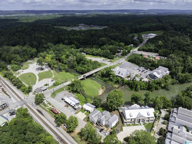 145 Lake Davidson Ln, Helena, AL 35080 - view of property location with a forest