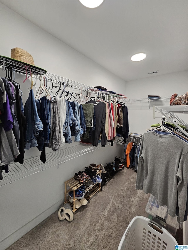 345 Easonville Park Dr, Cropwell, AL 35054 - spacious closet featuring carpet floors