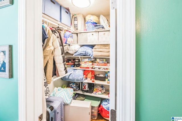 736 Buena Vista Loop, Prattville, AL 36067 - view of spacious closet