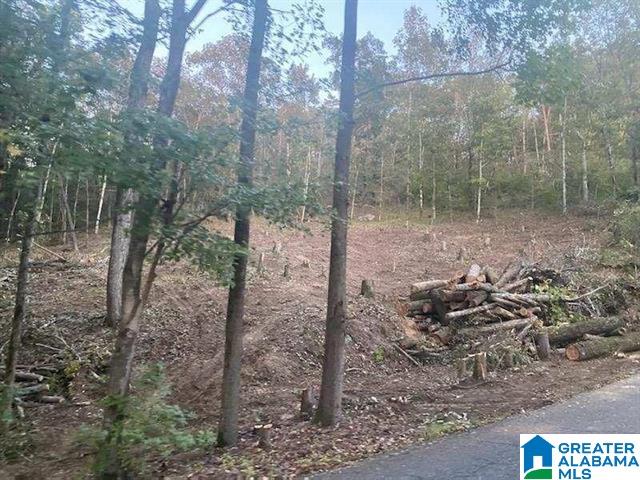 2005 Rock Mountain Dr Unit 5, Mccalla, AL 35111
