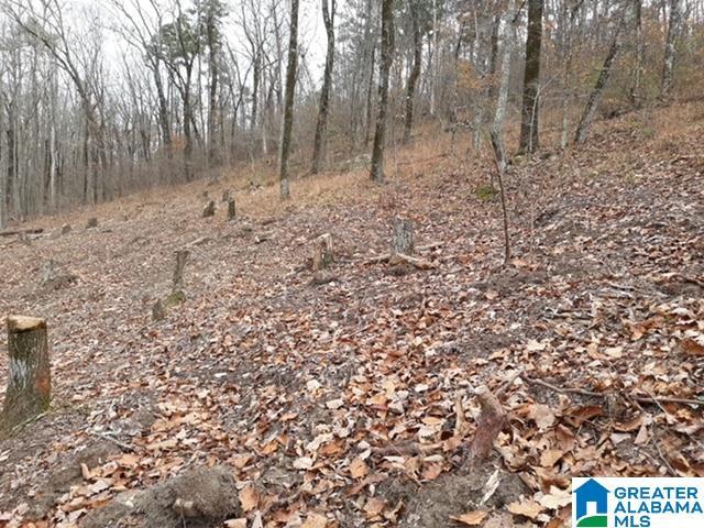 2005 Rock Mountain Dr Unit 5, Mccalla, AL 35111