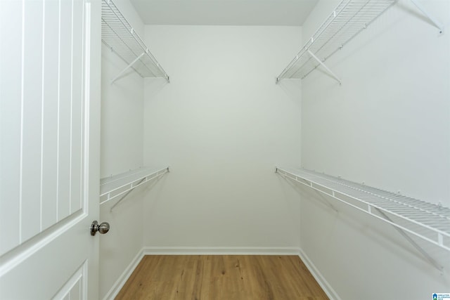 2449 Ridgemont Dr, Birmingham, AL 35244 - walk in closet featuring light wood-type flooring