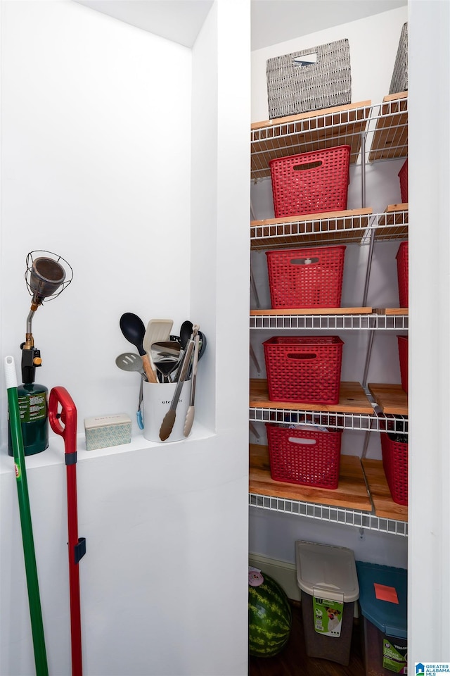 2032 Forest Meadows Cir, Birmingham, AL 35242 - view of storage area