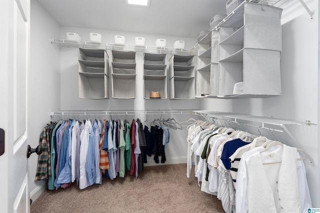 2032 Forest Meadows Cir, Birmingham, AL 35242 - walk in closet featuring carpet floors