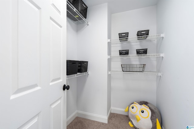 2032 Forest Meadows Cir, Birmingham, AL 35242 - walk in closet with carpet flooring