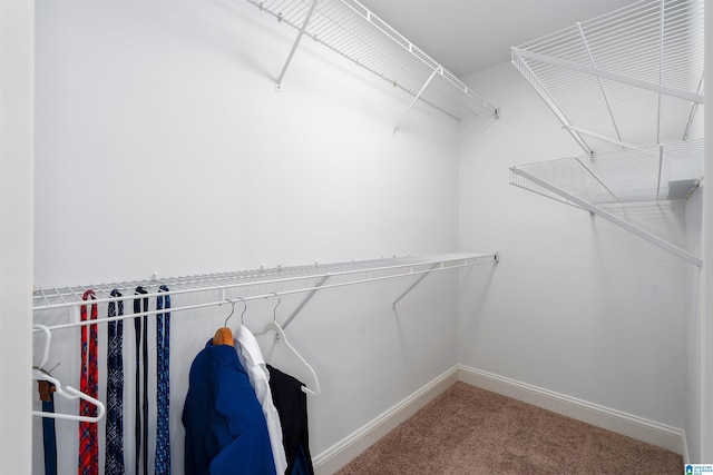 2032 Forest Meadows Cir, Birmingham, AL 35242 - spacious closet featuring carpet floors