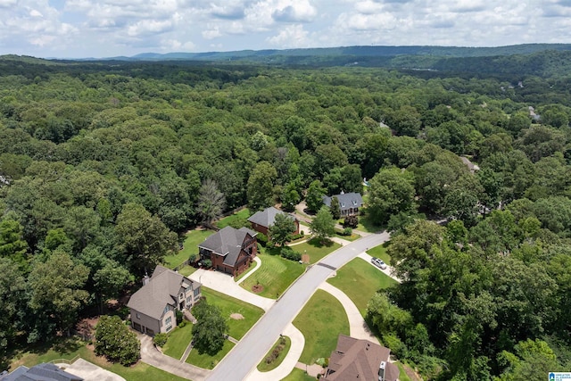 2032 Forest Meadows Cir, Birmingham, AL 35242 - aerial view of a forest