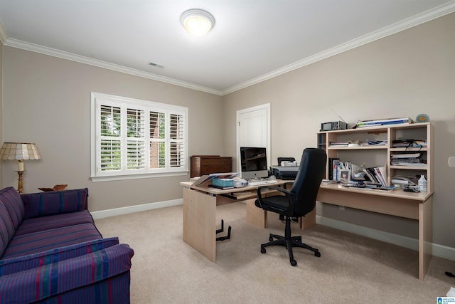 5601 Canongate Ln, Birmingham, AL 35242 - office area with ornamental molding, light colored carpet, and baseboards
