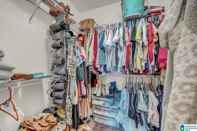 2597 Blake Way, Warrior, AL 35180 - view of spacious closet