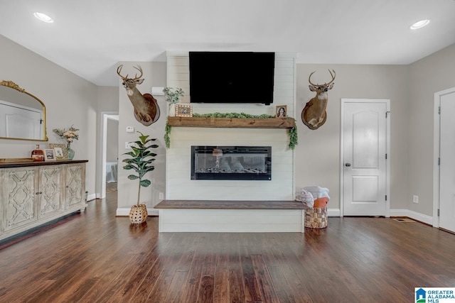 2597 Blake Way, Warrior, AL 35180 - living area featuring dark wood-style floors, baseboards, a glass covered fireplace, and recessed lighting