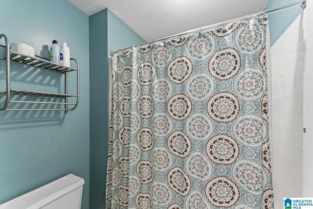 1505 Cypress Ln, Hoover, AL 35244 - full bathroom featuring toilet and curtained shower