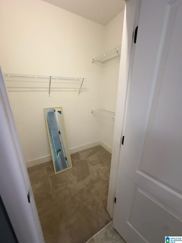 1013 Edgewater Ln, Chelsea, AL 35043 - walk in closet with carpet flooring