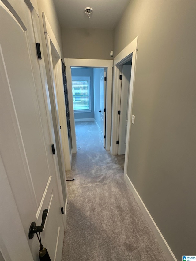 1013 Edgewater Ln, Chelsea, AL 35043 - corridor with carpet flooring and baseboards