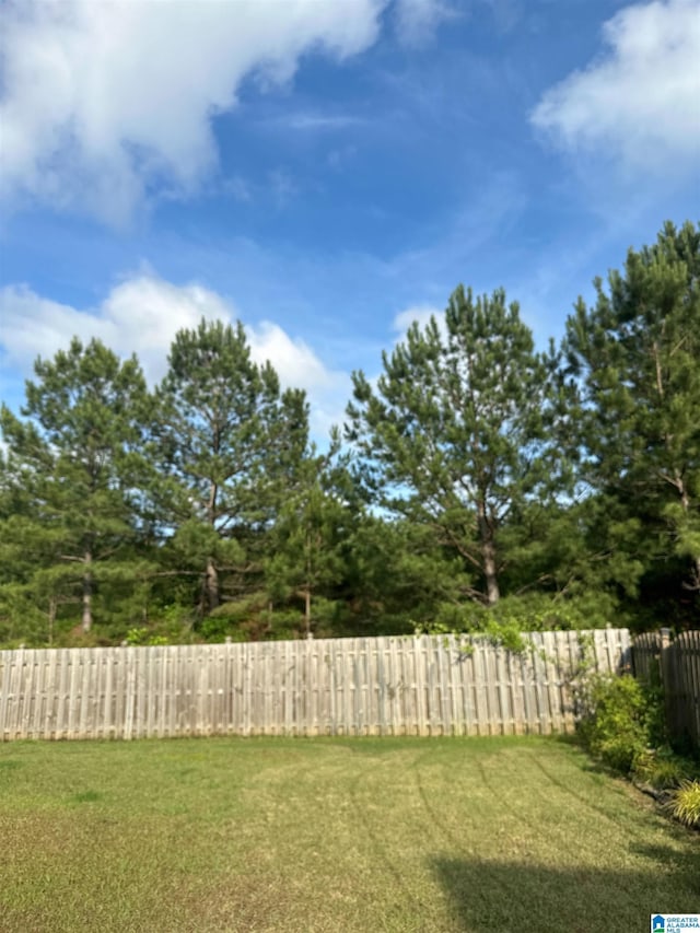 1013 Edgewater Ln, Chelsea, AL 35043 - view of yard