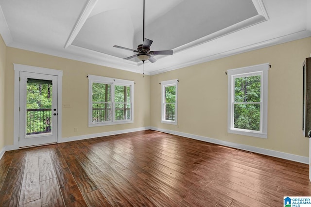 101 N Lake Dr, Hoover, AL 35242 - spare room with a raised ceiling, plenty of natural light, and dark wood-type flooring