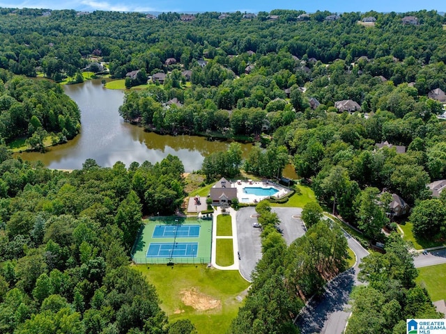 101 N Lake Dr, Hoover, AL 35242 - bird's eye view of a nearby body of water and a forest