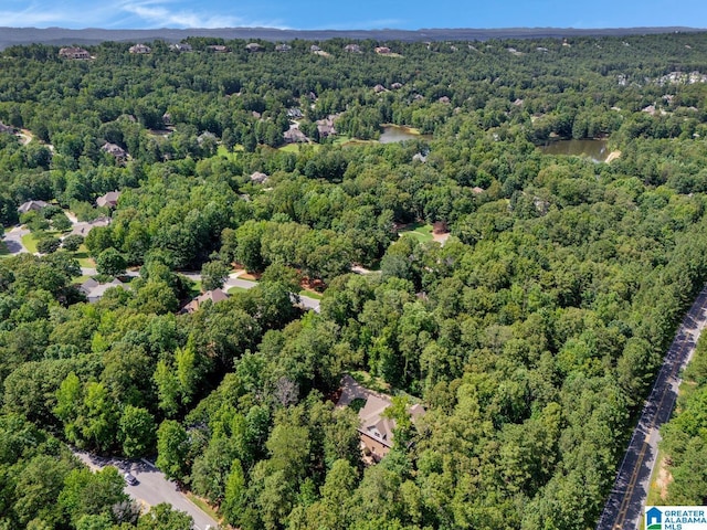 101 N Lake Dr, Hoover, AL 35242 - drone / aerial view of a forest and a nearby body of water