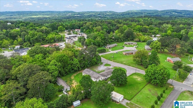 117 Trafford Rd, Warrior, AL 35180 - drone / aerial view of a heavily wooded area