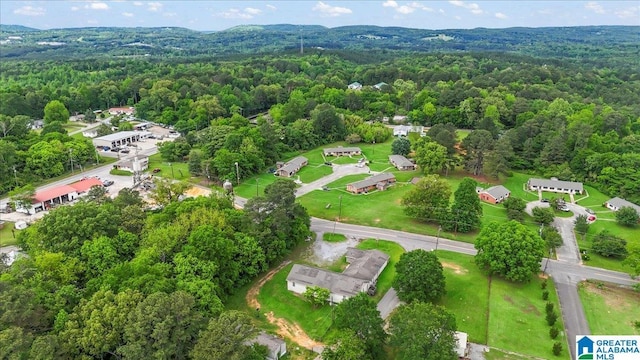 117 Trafford Rd, Warrior, AL 35180 - aerial view of a heavily wooded area