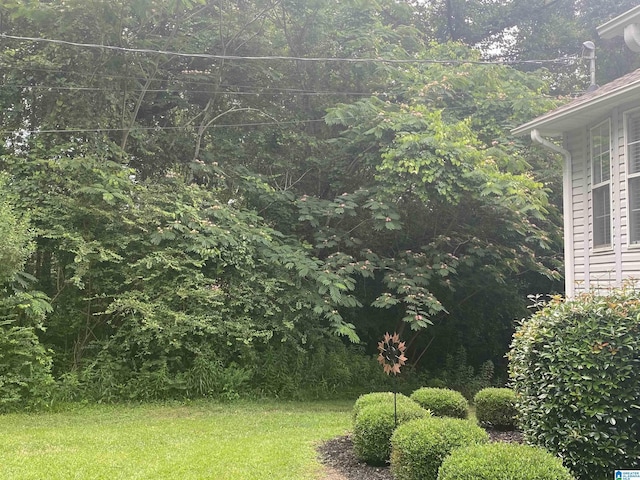 13634 Lisa Dr, Lake View, AL 35111 - view of grassy yard