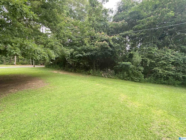 13634 Lisa Dr, Lake View, AL 35111 - view of grassy yard