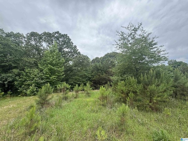 200 Welcome Rd, Haleyville, AL 35565 - view of wooded area