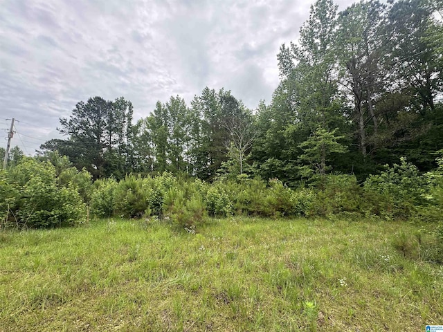 200 Welcome Rd, Haleyville, AL 35565 - view of nature