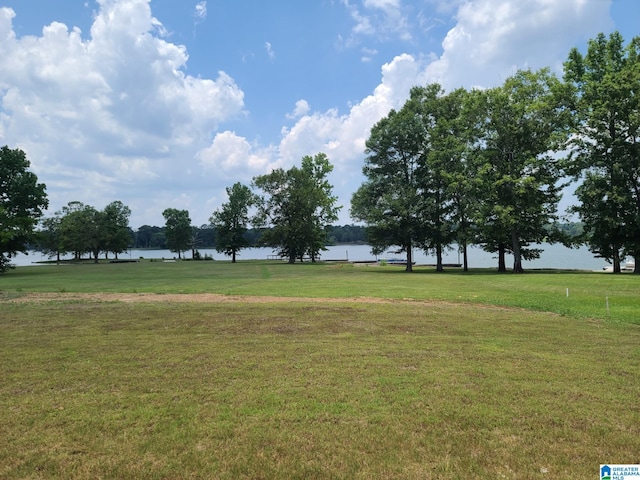 9232 Meeting St, Pell City, AL 35128 - view of grassy yard featuring a water view