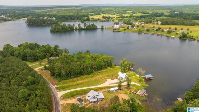 1165 Cedar Creek Dr, Sylacauga, AL 35151 - drone / aerial view of a large body of water and a forest