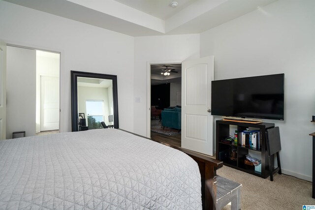 154 Halifax Ln, Chelsea, AL 35043 - bedroom with a tray ceiling