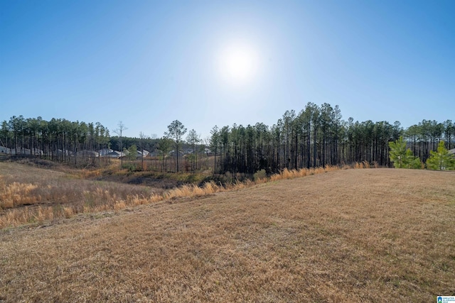154 Halifax Ln, Chelsea, AL 35043 - view of green lawn