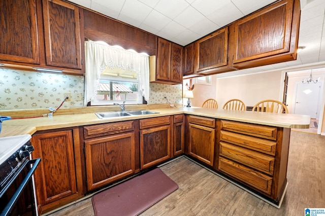 580 3rd St SW, Ashland, AL 36251 - kitchen with a sink, range, a peninsula, light countertops, and wood finished floors