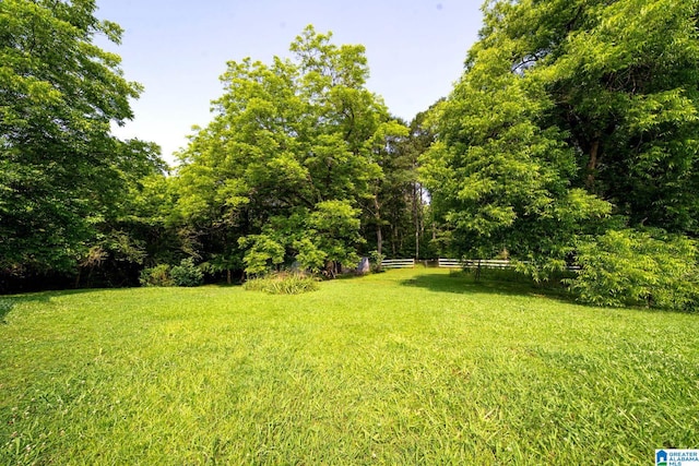 580 3rd St SW, Ashland, AL 36251 - view of yard